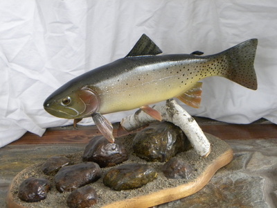 Yellowstone Cutthroat Trout - Northwoods Fish Carver